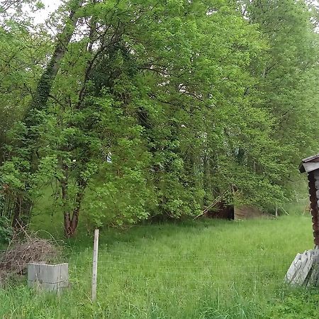 Charmante Yourte Contemporaine Carmaux Dış mekan fotoğraf